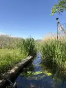 Pest megye - Majosháza