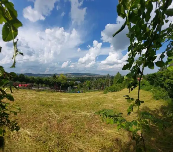 Eladó Építési telek, Törökbálint 2079 m² 120 M Ft